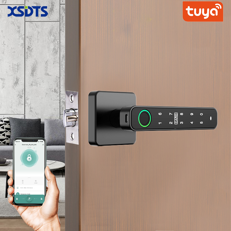 Smart Home Website - XSDTS 투야 핸들 지문 키 카드