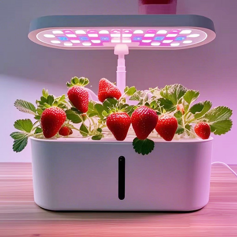 가정용 스마트 수경 재배기 무토양 수경 꽃 재배 시스템 - Smart Home System 리뷰 및 가격
